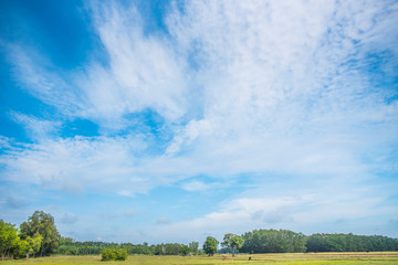 blue sky and white clouds.