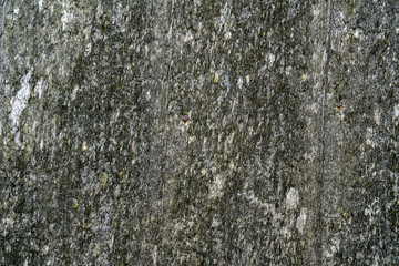 Fototapeta premium Wooden chip background