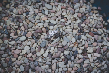 A beautiful and prestigious gold diamond ring with flower ornaments.