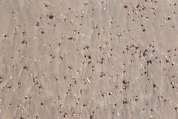 drawings and footprints in the sand