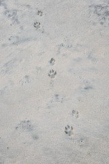 drawings and footprints in the sand