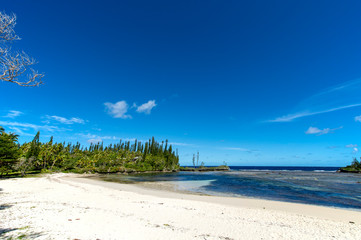 Fototapeta na wymiar ニューカレドニア ロイヤルティ諸島　マレ島　メビットビーチのサンゴ礁