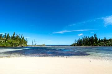 ニューカレドニア ロイヤルティ諸島　マレ島　メビットビーチのサンゴ礁