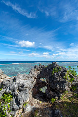 Fototapeta na wymiar ニューカレドニア ロイヤルティ諸島　マレ島　ペジェビーチのサンゴ礁