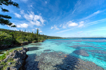 ニューカレドニア ロイヤルティ諸島　マレ島　タディーン海岸のサンゴ礁