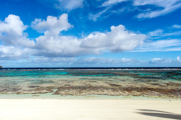 Fototapeta na wymiar ニューカレドニア ロイヤルティ諸島　マレ島　タディーン海岸のサンゴ礁