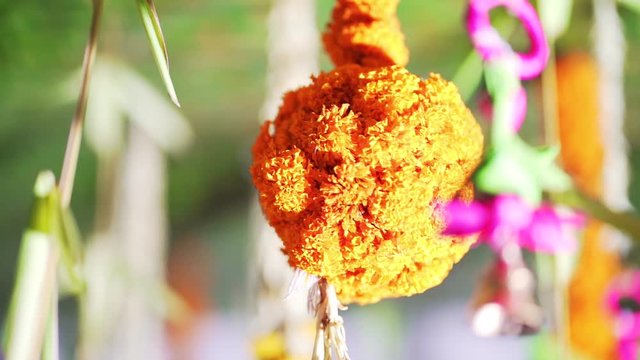 Natural marigold flowers garlands of  yellow flowers, indian festive decoration.
