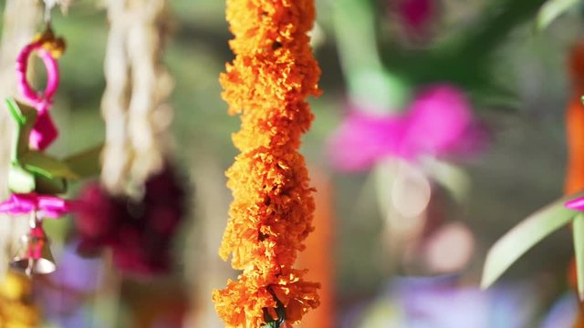 Natural marigold flowers garlands of  yellow flowers, indian festive decoration.