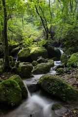 Obraz premium 이끼계곡