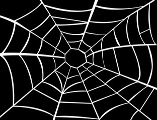 Vector illustration of cobweb 