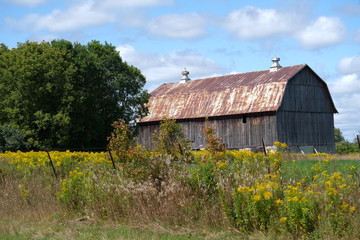 Obraz premium farm
