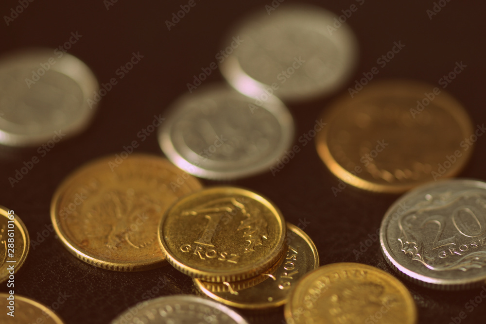 Wall mural polish coins scattered on a dark background close up. retro style