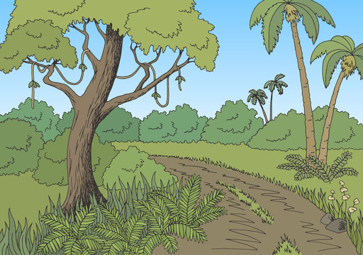 Jungle road graphic color landscape sketch illustration vector