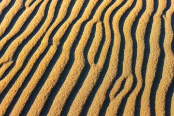 Abstract view of curved strip shapes on the sand surface