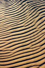 The abstract contrast texture of the ripple sand surface lits low sun light