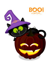 Cute black cat in a witch hat behind a Halloween pumpkin.  Hand drawing cartoon illustration