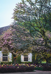 cottage