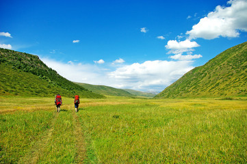 Fototapeta na wymiar Hikers with backpacks walking through a meadow with lush grass
