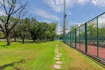 A pathway in the park that is lemurs with a fitness field