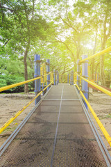 The playing field is surrounded by big green trees.