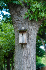 wooden bird house