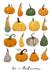 Autumn illustration. Set of various pumpkins. Stylish typography slogan design 