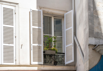 Window with open shutters and a pot of flowers outside