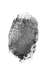 fingerprint pattern isolated on white - Image