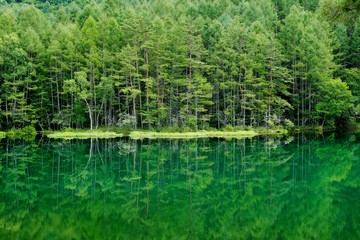 Obraz premium 御射鹿池