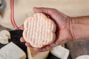 hand man holding Saint Albray cheese, french dairy