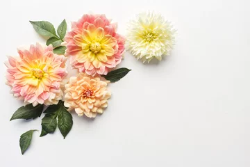 Poster Dahlias on white wood table. Gentle romantic background. Floral background. Top view, flat lay. Flowers, spring, summer concept. Romance and love card concept. Empty space for your text. © avoferten