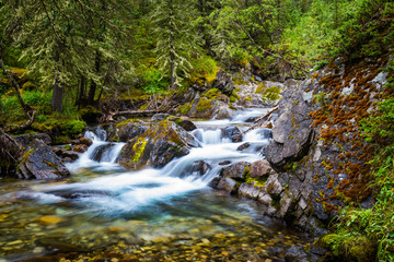 Obraz premium Ribbon Falls