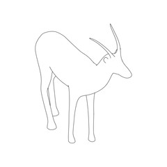 Gazzelle Isolated Line