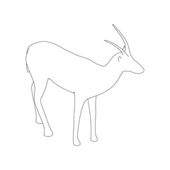 Gazzelle Isolated Line