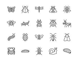 Insect flat line icons set. Butterfly, bug, dung beetle, grasshopper, cockroach, scarab, bee, caterpillar vector illustrations. Outline signs for insects pest. Pixel perfect 64x64. Editable Strokes - obrazy, fototapety, plakaty