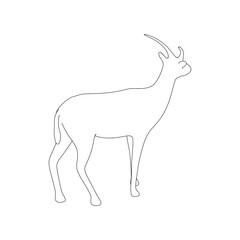 Gazzelle Isolated Line