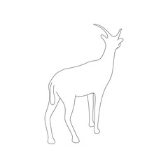 Gazzelle Isolated Line