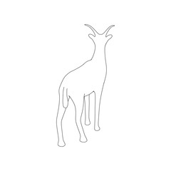 Gazzelle Isolated Line