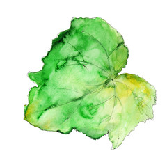 Watercolor hand drawn artistic colorful Harvest Thanksgiving fall  vintage elements isolated on white