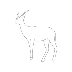 Gazzelle Isolated Phose