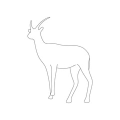 Gazzelle Isolated Phose