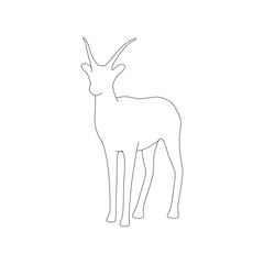 Gazzelle Isolated Pose Line