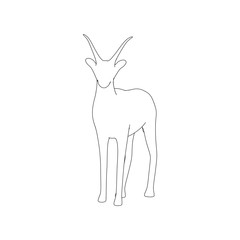 Gazzelle Isolated Pose Line