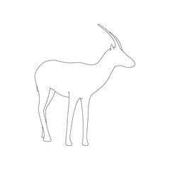 Gazzelle Isolated Pose Line