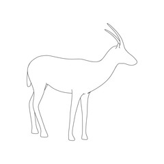 Gazzelle Isolated Pose Line