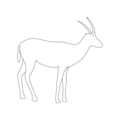 Gazzelle Isolated Pose Line