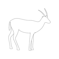 Obraz premium Gazzelle Isolated Pose Line