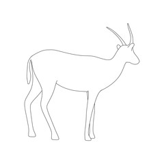 Gazzelle Isolated Pose Line