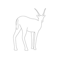 Gazzelle Isolated Pose Line