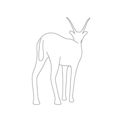 Gazzelle Isolated Pose Line